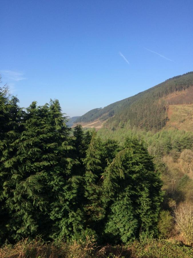 Rowan House Bed Breakfast Main House & Self Contained Self Catering Apartment Cymmer Exterior foto